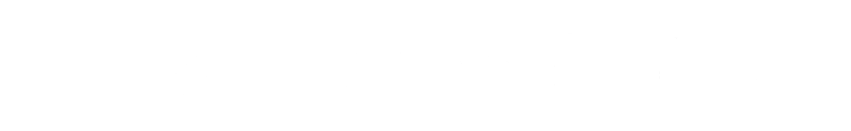 Logo Dell blanc Logo Dell blanc