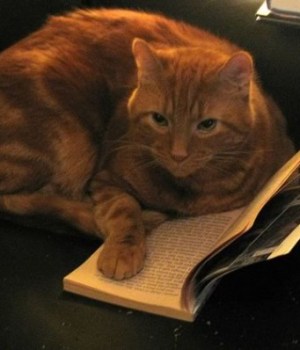 cliches-litterature-relou