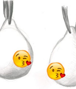 boule-noel-seins