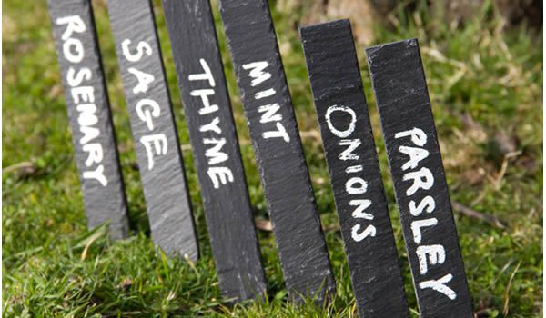 fete-des-peres-marqueurs-jardin fete-des-peres-marqueurs-jardin