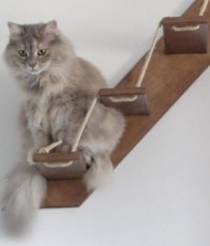 selection-cadeaux-chats