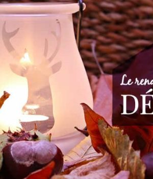 automne-decoration-interieur