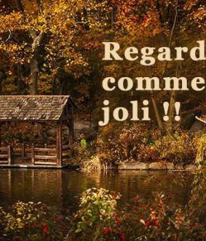 idees-contrer-monotonie-automne