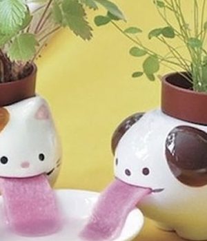 decoration-pas-chere-promotions