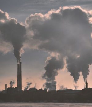 pollution-mort-monde-écologie-