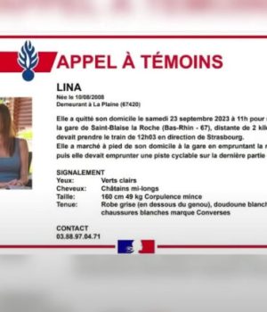 Appel à témoins Lina // Source : Capture d'écran Youtube