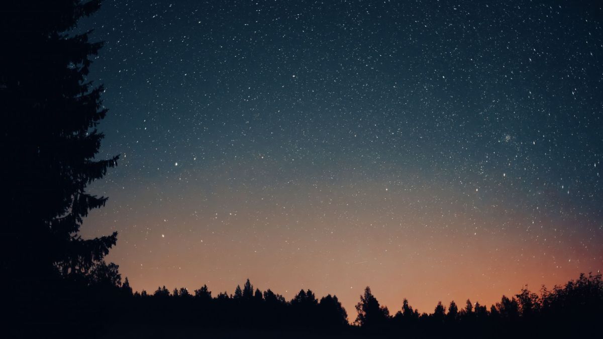 Ciel étoilé. // Source : Envato (photo recadrée)