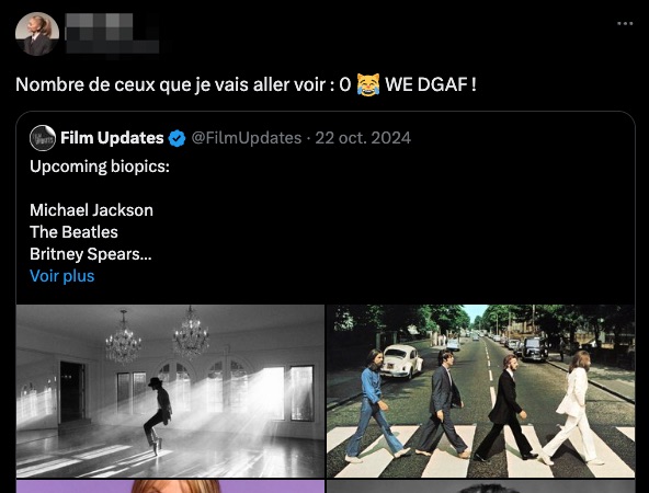 Un exemple de l'utilisation de « dgaf » // Source : Numerama Un exemple de l'utilisation de « dgaf » // Source : Numerama