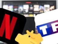 Netflix et le groupe TF1 s'associent // Source : Montage Numerama